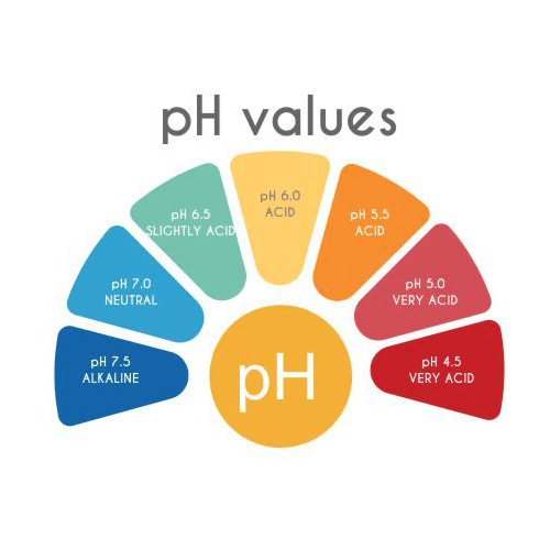 PH values image
