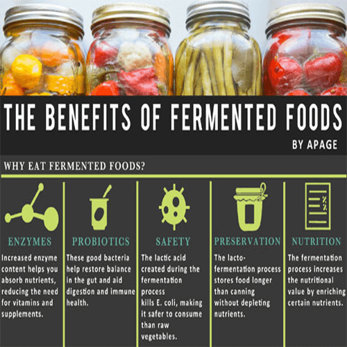Benefits of fermented foods image