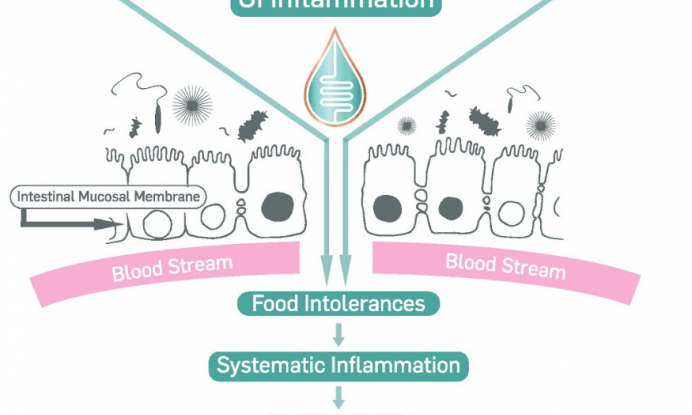 GI Inflammation detail image