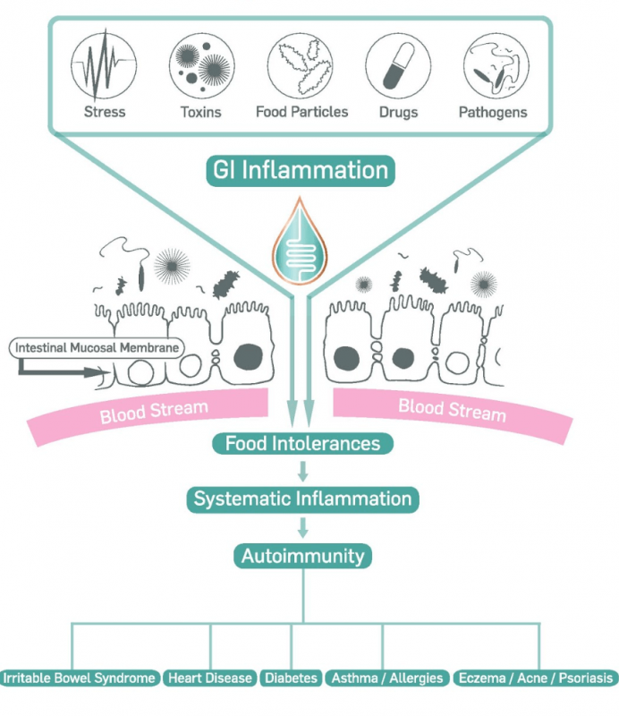 GI Inflammation detail image