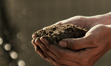 Soil in Hand image