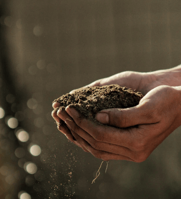 Soil in Hand image