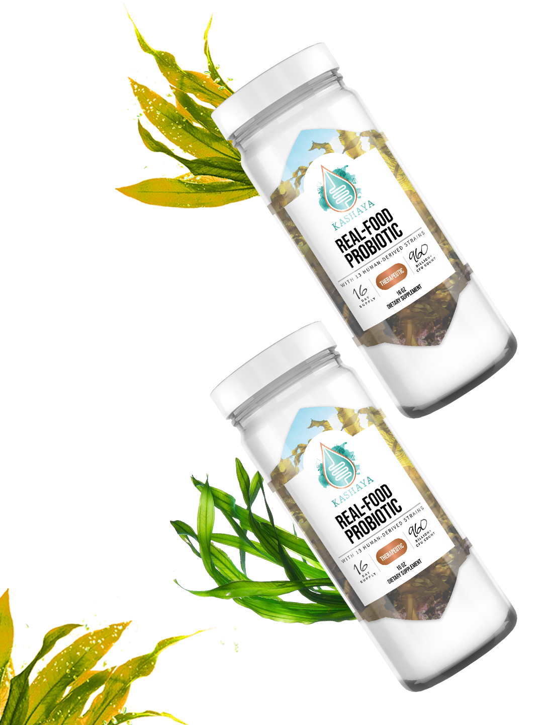 Kashaya Probiotics lifestyle